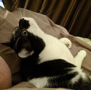 Meet your Posher, Jess